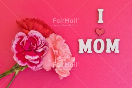 Fair Trade Photo Colour image, Flower, Heart, Letter, Mothers day, Peru, Pink, South America, Text