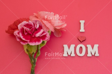 Fair Trade Photo Colour image, Flower, Heart, Letter, Mothers day, Peru, Pink, South America, Text