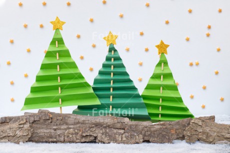 Fair Trade Photo Christmas, Christmas decoration, Christmas tree, Colour, Colour image, Green, Horizontal, Nature, Object, Place, Snow, South America, Star, Tree, White, Yellow