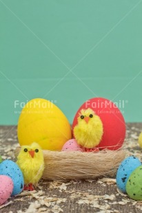 Fair Trade Photo Adjective, Animals, Chick, Colour, Easter, Egg, Food and alimentation, Friend, Friendship, Nest, Object, People, Vertical