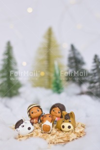 Fair Trade Photo Activity, Adjective, Celebrating, Christmas, Christmas decoration, Christmas tree, Creche, Family, Light, Nature, Object, People, Present, Snow, Vertical