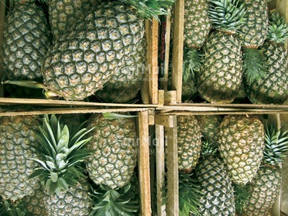 Fair Trade Photo Agriculture, Colour image, Food and alimentation, Fruits, Fullframe, Get well soon, Horizontal, Market, Peru, Pineapple, South America