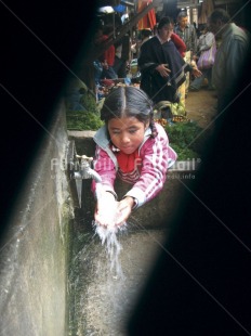 Fair Trade Photo Colour image, Food and alimentation, Hygiene, Market, One girl, Outdoor, People, Peru, South America, Vertical, Water