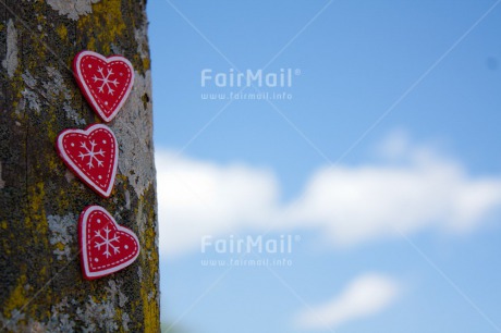 Fair Trade Photo Christmas, Colour image, Heart, Love, Peru, Sky, South America, Tree