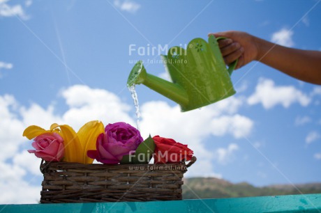 Fair Trade Photo Clouds, Colour image, Day, Flower, Outdoor, Peru, Sky, South America, Summer, Sustainability, Water, Watering can