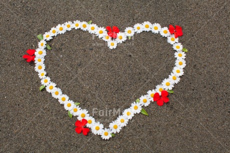 Fair Trade Photo Beach, Closeup, Colour image, Day, Flower, Heart, Love, Mothers day, Outdoor, Peru, South America, Summer, Valentines day