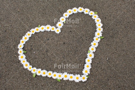 Fair Trade Photo Beach, Closeup, Colour image, Day, Flower, Heart, Love, Mothers day, Outdoor, Peru, South America, Summer, Valentines day