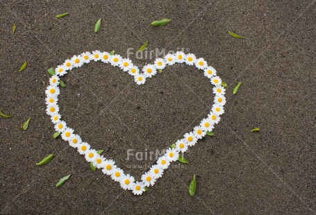 Fair Trade Photo Beach, Closeup, Colour image, Day, Flower, Heart, Love, Mothers day, Outdoor, Peru, South America, Summer, Valentines day