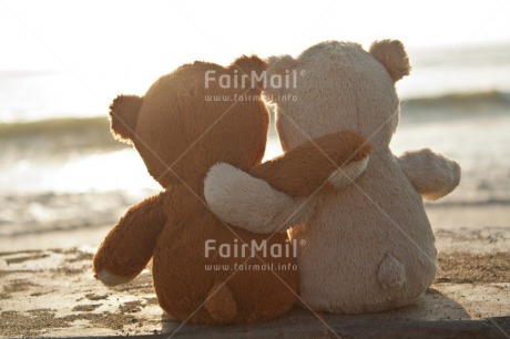 Fair Trade Photo Activity, Beach, Evening, Friendship, Horizontal, Hugging, Outdoor, Peru, South America, Teddybear