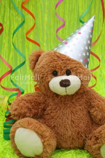 Fair Trade Photo Birthday, Colour image, Decoration, Green, Hat, Horizontal, Party, Peru, South America, Studio, Teddybear