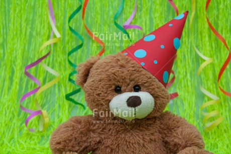 Fair Trade Photo Birthday, Colour image, Decoration, Green, Hat, Horizontal, Party, Peru, Red, South America, Studio, Teddybear