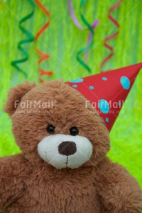 Fair Trade Photo Birthday, Colour image, Decoration, Green, Hat, Horizontal, Party, Peru, Red, South America, Studio, Teddybear