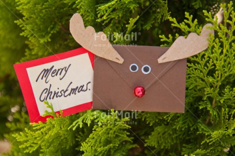 Fair Trade Photo Christmas, Colour image, Envelope, Horizontal, Peru, Reindeer, South America