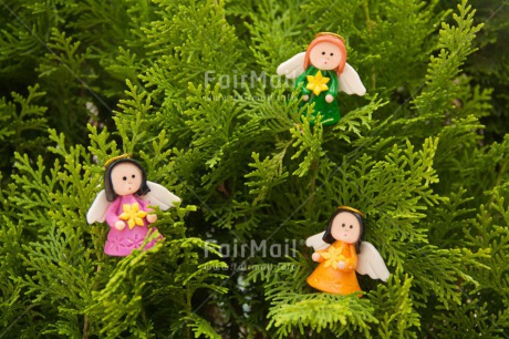 Fair Trade Photo Angel, Christmas, Colour image, Horizontal, Peru, South America, Tree