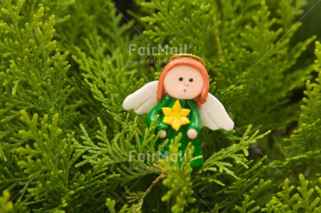 Fair Trade Photo Angel, Christmas, Colour image, Horizontal, Peru, South America, Tree