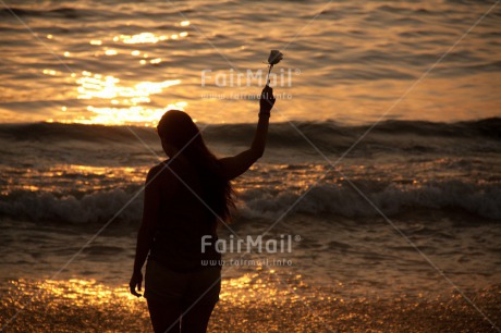 Fair Trade Photo Beach, Colour image, Condolence-Sympathy, Emotions, Flower, Horizontal, One girl, People, Peru, Rose, Sadness, Sea, South America, Summer, Sunset, Thinking of you