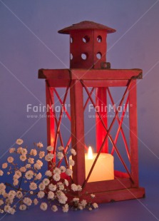 Fair Trade Photo Candle, Christmas, Closeup, Colour image, Condolence-Sympathy, Flame, Flower, Peru, Red, Shooting style, South America, Vertical, White