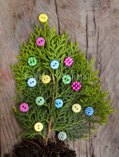 Fair Trade Photo Button, Christmas, Closeup, Colour image, Horizontal, Peru, Shooting style, South America, Tree