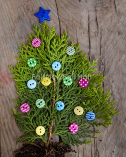 Fair Trade Photo Button, Christmas, Closeup, Colour image, Peru, Shooting style, South America, Tree, Vertical