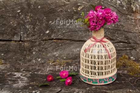 Fair Trade Photo Colour image, Flower, Horizontal, Peru, Pink, South America, Vase, Vintage, Wood