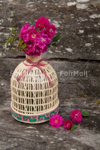 Fair Trade Photo Colour image, Flower, Peru, Pink, South America, Vase, Vertical, Vintage, Wood