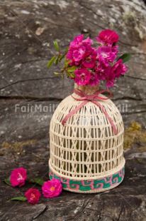 Fair Trade Photo Colour image, Flower, Peru, Pink, South America, Vase, Vertical, Vintage, Wood