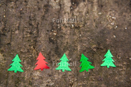 Fair Trade Photo Christmas, Colour image, Green, Horizontal, Peru, South America, Tree, Wood