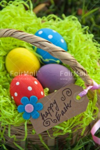 Fair Trade Photo Colour image, Day, Easter, Egg, Grass, Outdoor, Peru, Religion, Seasons, South America, Spring, Vertical