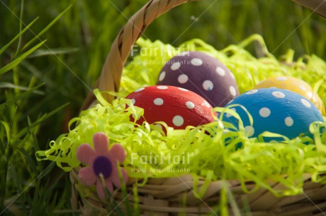 Fair Trade Photo Colour image, Day, Easter, Egg, Grass, Horizontal, Outdoor, Peru, Religion, Seasons, South America, Spring