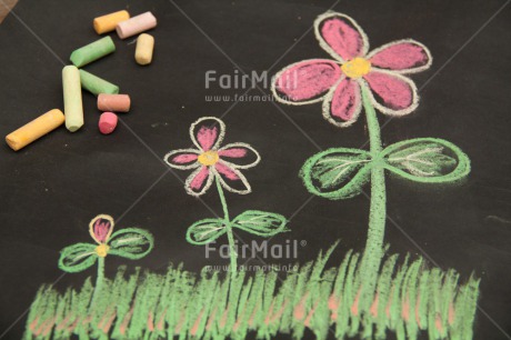 Fair Trade Photo Chalk, Colour image, Flower, Grass, Holiday, Horizontal, Peru, Seasons, South America, Spring, Summer