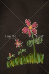 Fair Trade Photo Chalk, Colour image, Flower, Grass, Holiday, Peru, Seasons, South America, Spring, Summer, Vertical