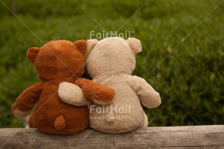 Fair Trade Photo Colour image, Friendship, Horizontal, Love, Peru, South America, Teddybear, Together