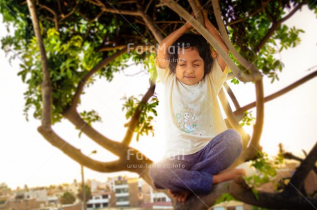 Fair Trade Photo Activity, Colour image, Horizontal, Meditating, Outdoor, Peace, Peru, South America, Tree, Wellness, Yoga