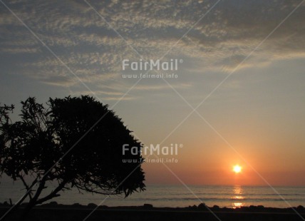 Fair Trade Photo Colour image, Condolence-Sympathy, Evening, Horizontal, Outdoor, Peru, Scenic, Sea, Sky, South America, Sun, Sunset, Travel, Tree