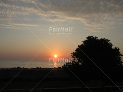 Fair Trade Photo Colour image, Condolence-Sympathy, Evening, Horizontal, Outdoor, Peru, Scenic, Sea, Sky, South America, Sun, Sunset, Travel, Tree