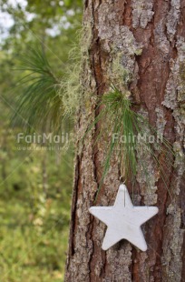 Fair Trade Photo Christmas, Colour image, Peru, South America, Star, Tree, Vertical