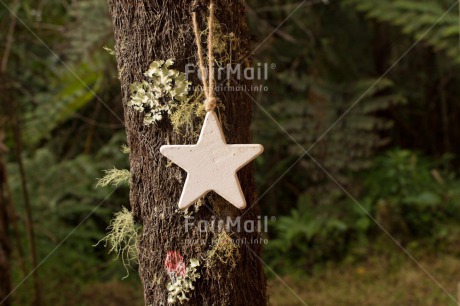 Fair Trade Photo Christmas, Colour image, Horizontal, Peru, South America, Star, Tree