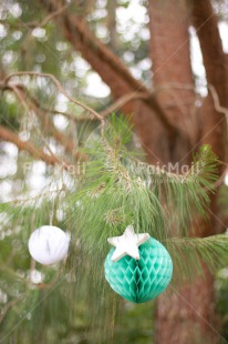 Fair Trade Photo Christmas, Colour image, Peru, South America, Star, Tree, Vertical