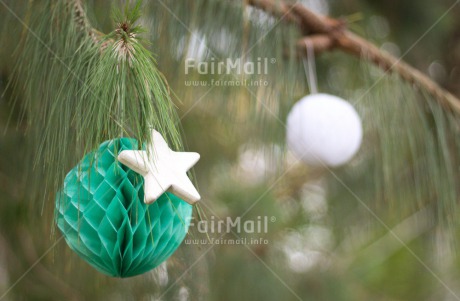 Fair Trade Photo Christmas, Colour image, Horizontal, Peru, South America, Star, Tree