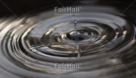 Fair Trade Photo Closeup, Colour image, Condolence-Sympathy, Feather, Horizontal, Peru, Shooting style, South America, Water, Waterdrop