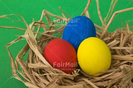 Fair Trade Photo Closeup, Colour image, Easter, Egg, Festivals and Performances, Horizontal, Nature, Nest, Peru, Religion, Shooting style, South America