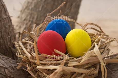 Fair Trade Photo Closeup, Colour image, Easter, Egg, Festivals and Performances, Horizontal, Nature, Nest, Peru, Religion, Shooting style, South America