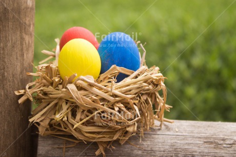 Fair Trade Photo Closeup, Colour image, Easter, Egg, Festivals and Performances, Horizontal, Nature, Nest, Peru, Religion, Shooting style, South America