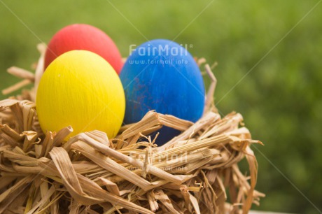 Fair Trade Photo Closeup, Colour image, Easter, Egg, Festivals and Performances, Horizontal, Nature, Nest, Peru, Religion, Shooting style, South America