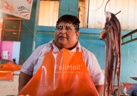 Fair Trade Photo Animals, Colour image, Entrepreneurship, Fish, Food and alimentation, Horizontal, Market, One man, People, Peru, Selling, South America