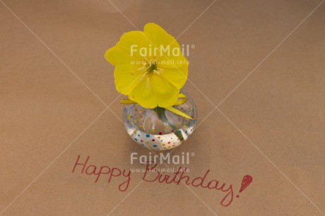 Fair Trade Photo Birthday, Colour image, Flower, Horizontal