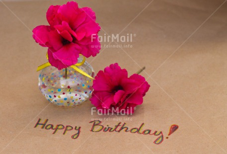 Fair Trade Photo Birthday, Colour image, Flower, Horizontal