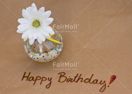 Fair Trade Photo Birthday, Colour image, Flower, Horizontal