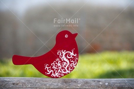 Fair Trade Photo Animals, Bird, Colour image, Horizontal, Red, Seasons, Spring, Summer