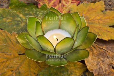 Fair Trade Photo Candle, Colour image, Condolence-Sympathy, Flame, Get well soon, Horizontal, Lotus flower, Peru, South America, Thinking of you